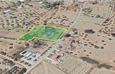 Şirinevler’de Su Kuyusu Bulunan 5586 m² Fırsat Arazi