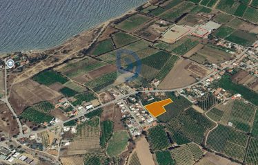 Yeşilyurt Merkezde 6789 m² Takas ve Parselasyona Açık Fırsat Arazi