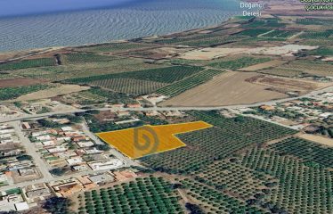 Yeşilyurt Merkezde 6789 m² Takas ve Parselasyona Açık Fırsat Arazi