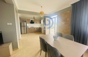 Çatalköy Satılık 3+1 İkiz Villalar