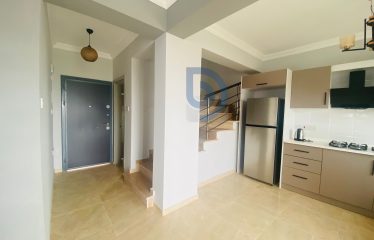 Çatalköy Satılık 3+1 İkiz Villalar