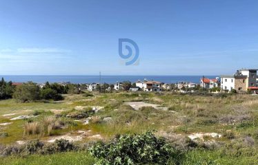 Çatalköy’ün En Güzel Lokasyonu- 1087 m² Arsa