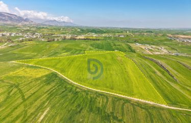 Şirinevler’de 1.926 Konut Projesi Vizelenmiş Takasa Açık 73 Dönüm Arazi