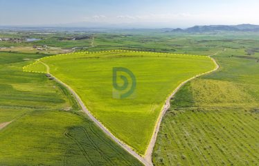 Şirinevler’de 1.926 Konut Projesi Vizelenmiş Takasa Açık 73 Dönüm Arazi