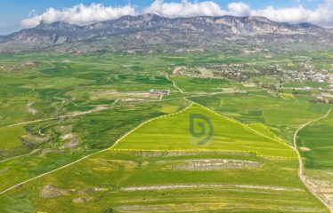 Şirinevler’de 1.926 Konut Projesi Vizelenmiş Takasa Açık 73 Dönüm Arazi