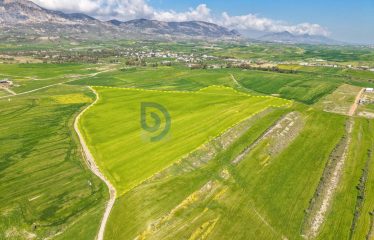 Şirinevler’de 1.926 Konut Projesi Vizelenmiş Takasa Açık 73 Dönüm Arazi