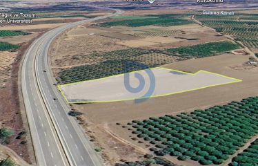 Güzelyurt Anayoluna Sıfır Konumda 6325 m² Arazi