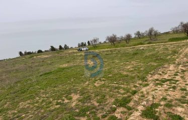 Muratağa’da Türk Koçan 470 m² Arsa