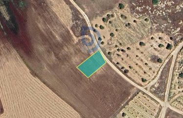 Muratağa’da Türk Koçan 470 m² Arsa