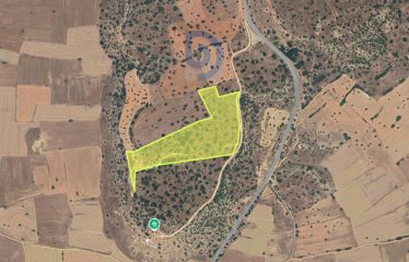 Mehmetcik’te Önü Kapanmaz Manzaralı 38.572 m² Türk Koçan Arazi
