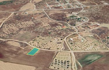 Muratağa’da Türk Koçan 470 m² Arsa