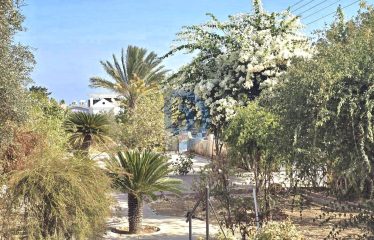 Edremit’de 1269 m² Bahçe Alanına Sahip Tam Müstakil Villa