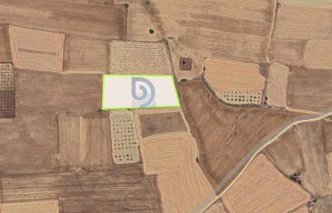 Kıbrıs Mağusa Sütlüce Merkezine 500 Metre Mesafede 6502 m² Tarla