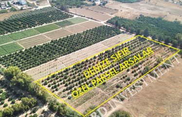 Kıbrıs Lefke Yeşilyurt’da Denize Sıfır Çok Özel Parsel Arsalar