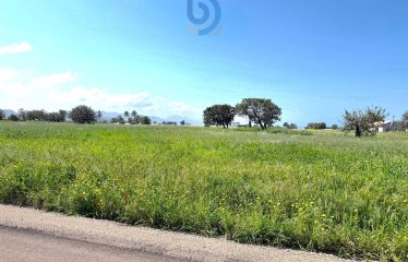 Kıbrıs Mağusa Tatlısu’da Sahile 800 Metre 5781 m² Fırsat Arazi