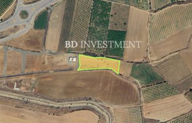 Kıbrıs Lefke Yeşilyurt’da Yatırım veya Projeler İçin 4896 m² Arazi