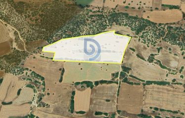 Kıbrıs İskele Kaleburun Sahiline 250 Metre Mesafede Türizm Yatırımcıları İçin Büyük Fırsat