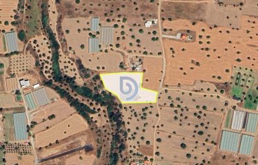 Kıbrıs Mağusa Tatlısu’da Sahile 800 Metre 5781 m² Fırsat Arazi
