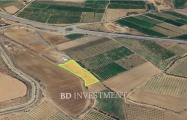 Kıbrıs Lefke Yeşilyurt’da Yatırım veya Projeler İçin 4896 m² Arazi