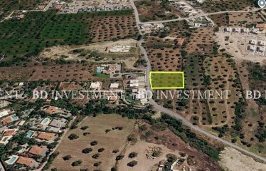 Kıbrıs Girne Ozanköy’de Türk Koçan 2007 m² Arsa