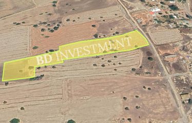 Kıbrıs İskele Tuzluca Merkezinde 8754 m² Fırsat Arazi