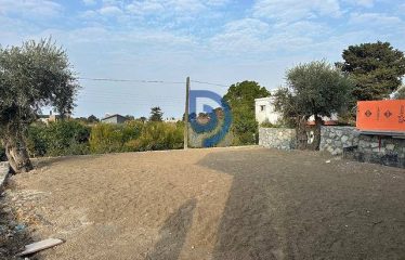 Kıbrıs Girne Lapta Bölgesinde -Satılık Sıfır 3+1 Taşınmaya Hazır Lüks Villa