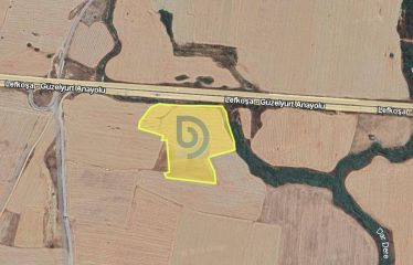 Kıbrıs Lefkoşa Yılmazköy’de Ticari Değeri Yüksek 30.136 m² Türk Koçan Arazi