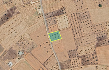 Mağusa Akdoğan’da 1204 m² Tarla