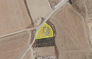 Lefkoşa Minareliköy’de Ticari + Konut İmarlı Daire Takasına Açık Arsa