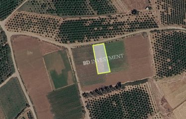 Güzelyurt Aydınköy’de Kelepir 1338 m² Arsa