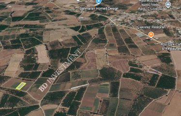 Güzelyurt Aydınköy’de Kelepir 1338 m² Arsa