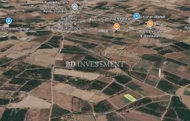Güzelyurt Aydınköy’de Kelepir 1338 m² Arsa